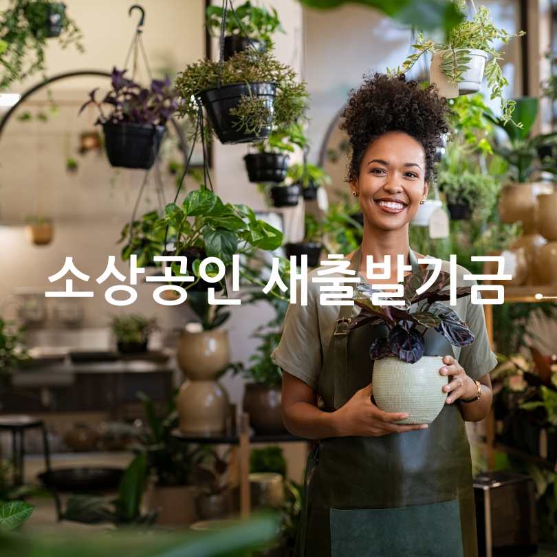 소상공인 새출발기금