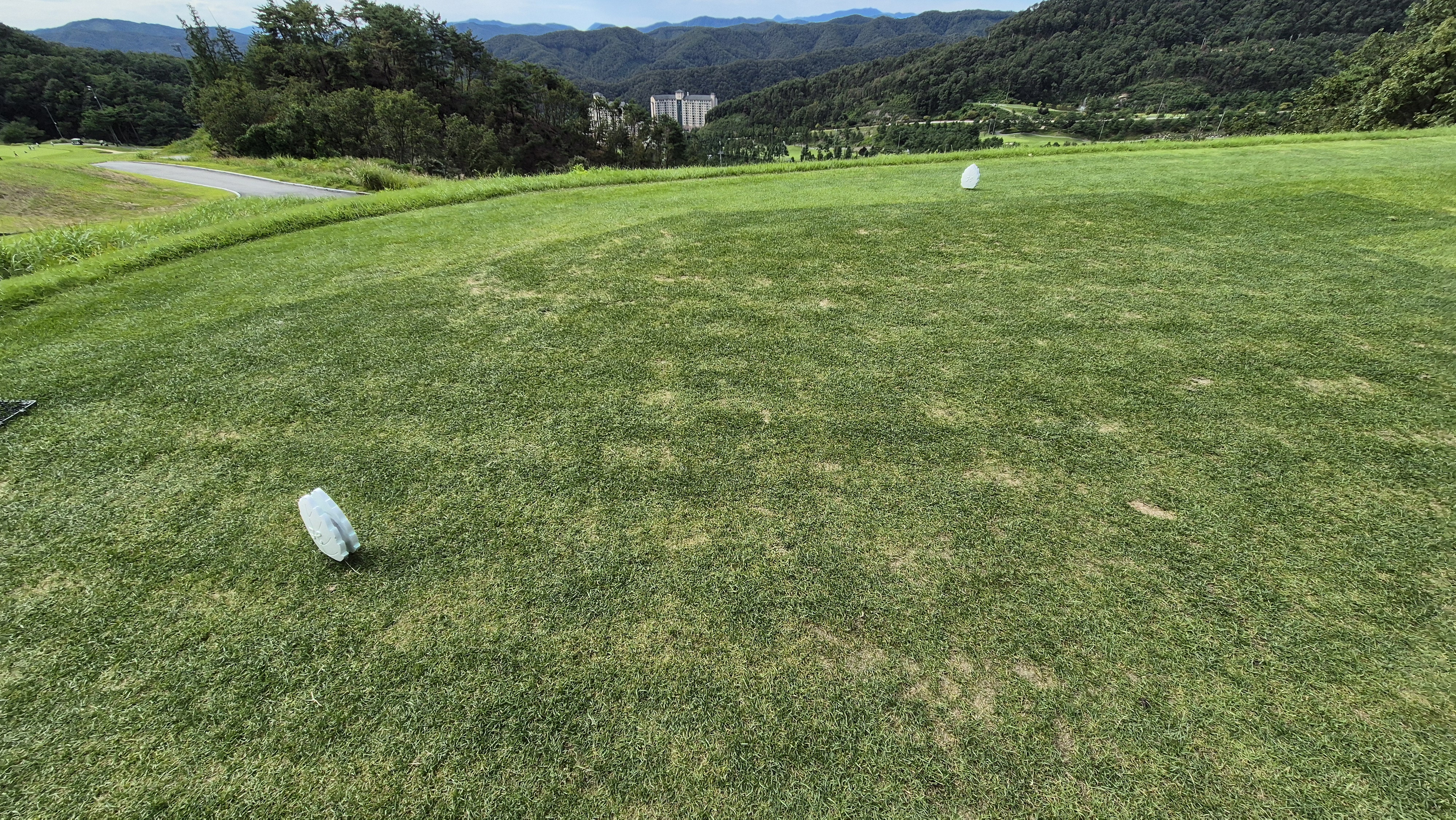 오크힐스cc 티잉구역 상태