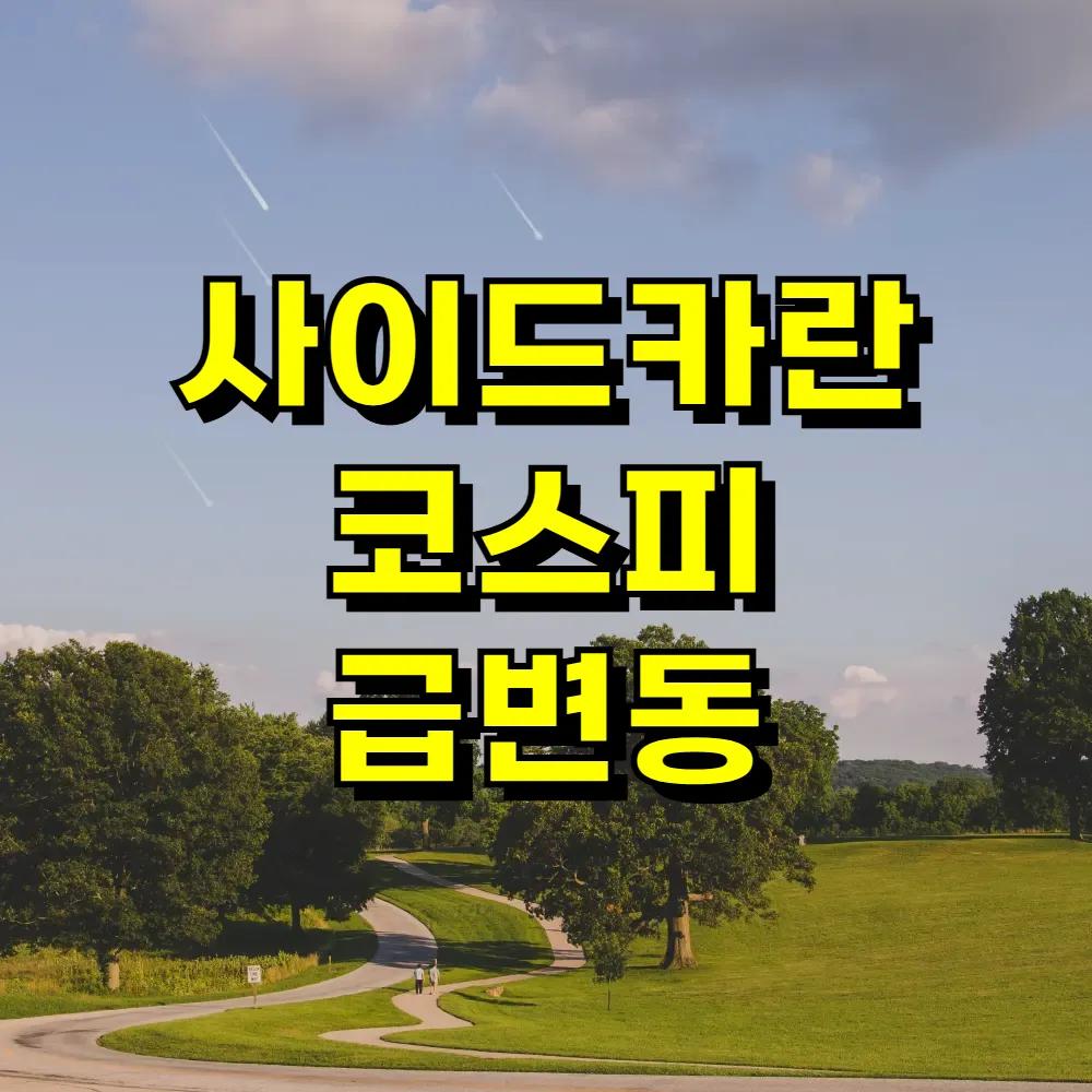 사이드카란 코스피 급변동