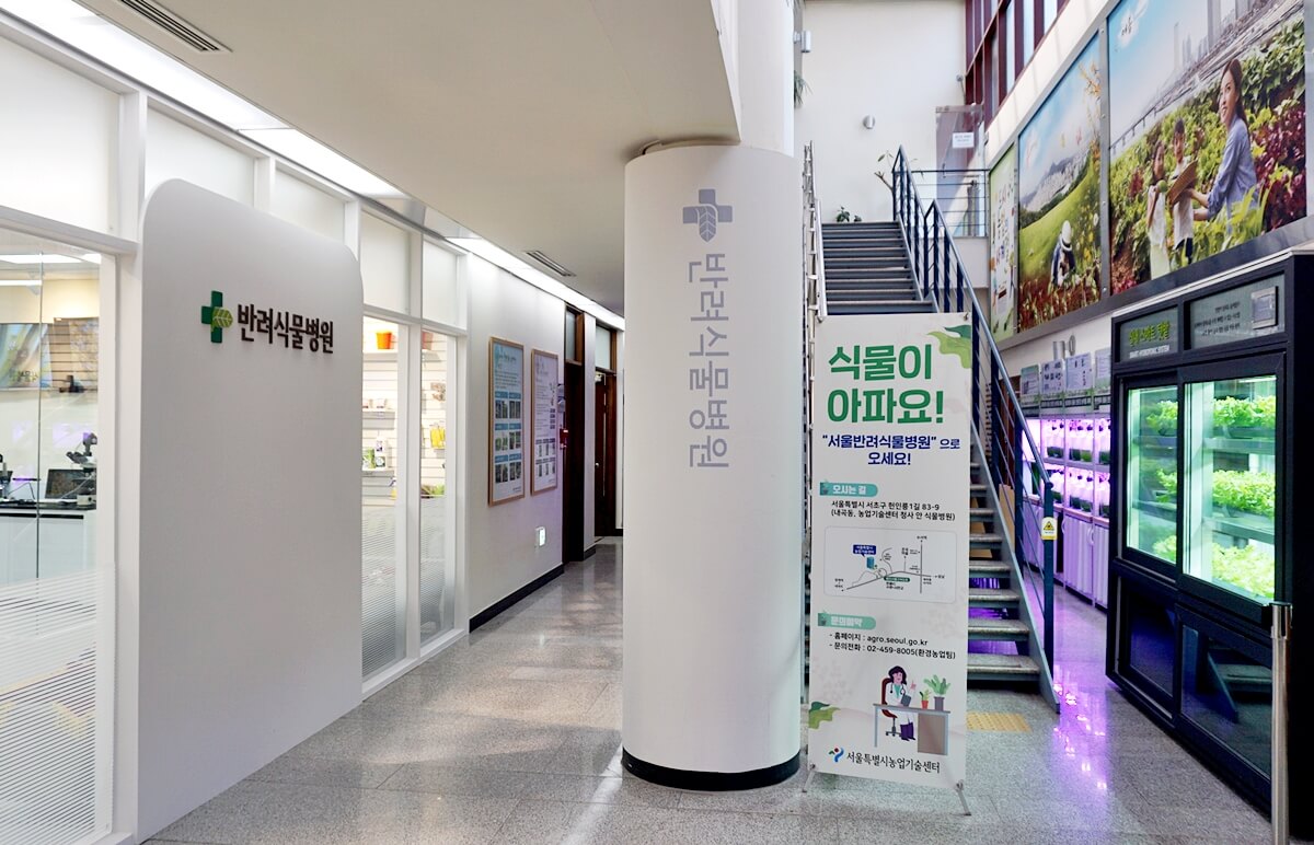 서울시 반려식물 클리닉 신청방법 예약