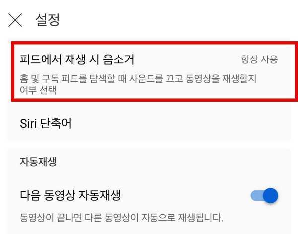 피드에서 재생시 음소거 선택