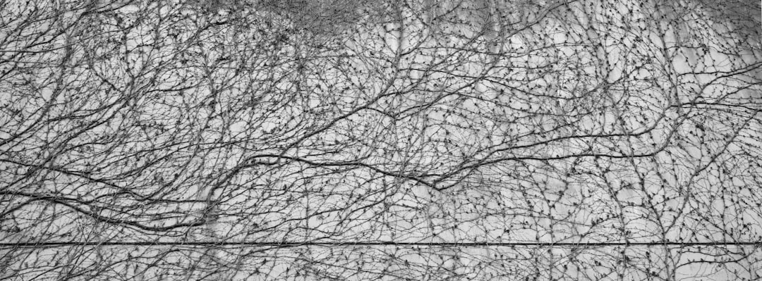 ALS (Amyotrophic Lateral Sclerosis)