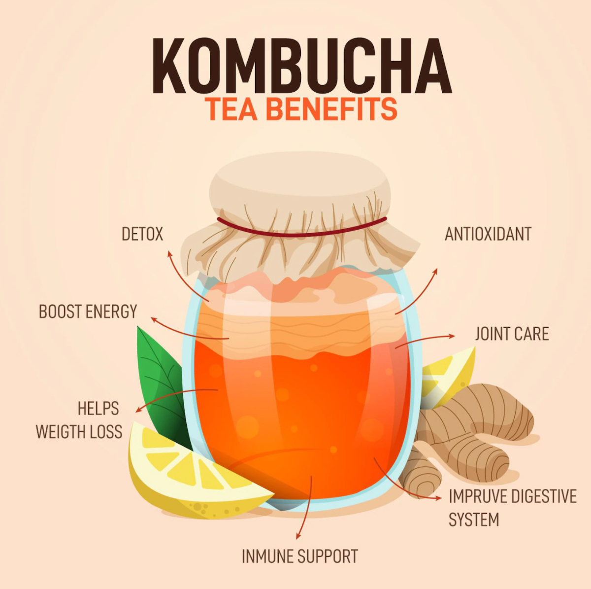 콤부차 효능 그림