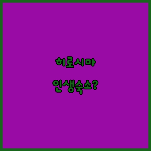 히로시마 쇼바라 미요시 숙소 추천 베..