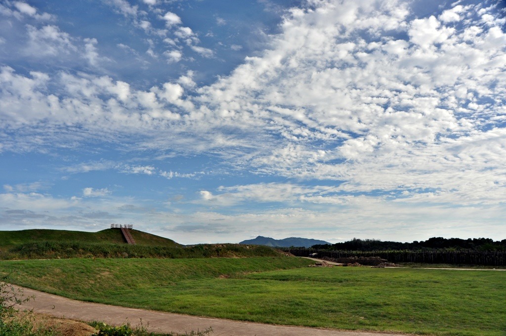 연천 호로고루 해바라기 통일바라기 축제
