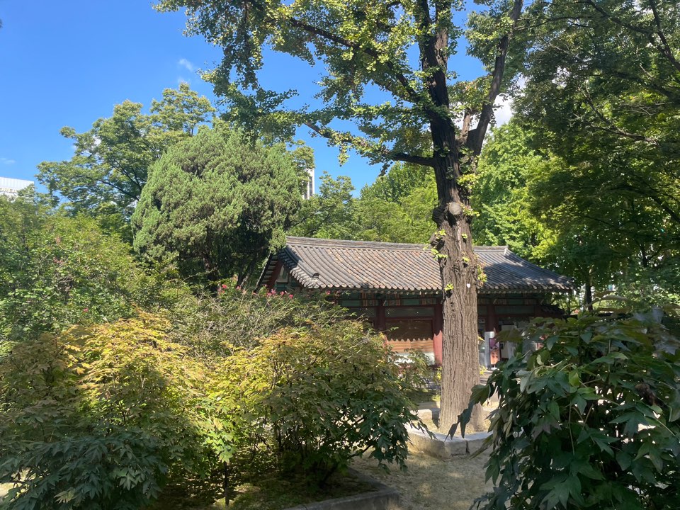 덕수궁
