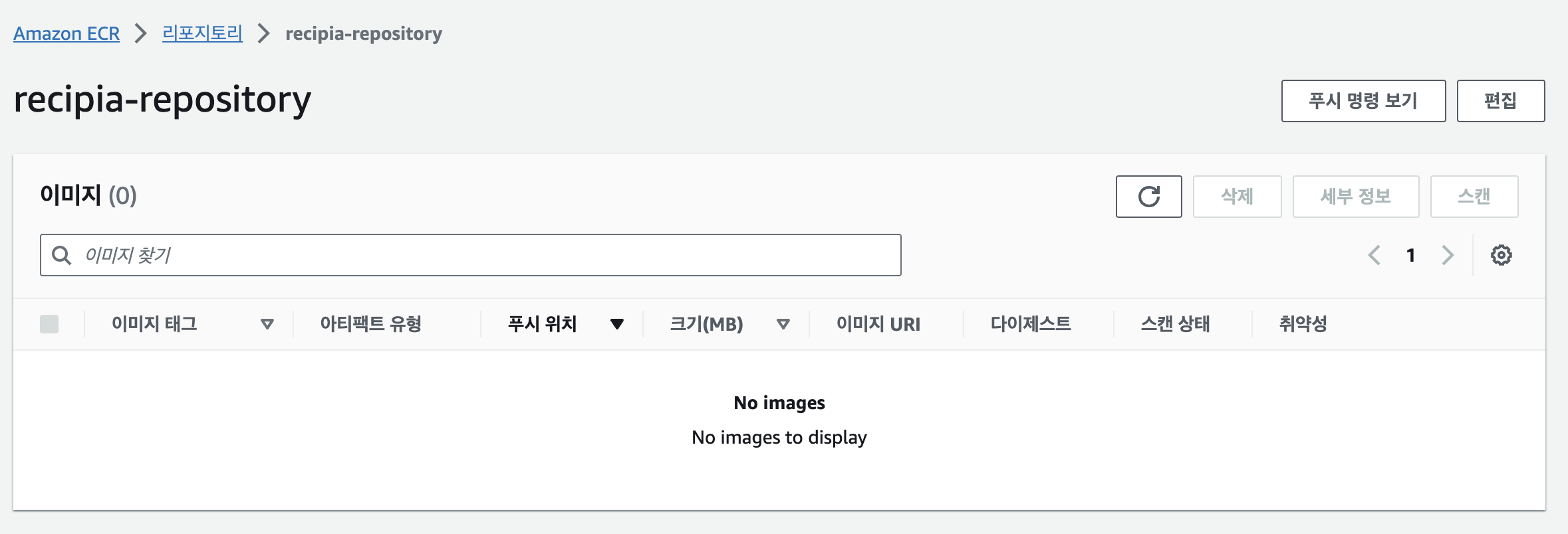 푸시 명령 보기