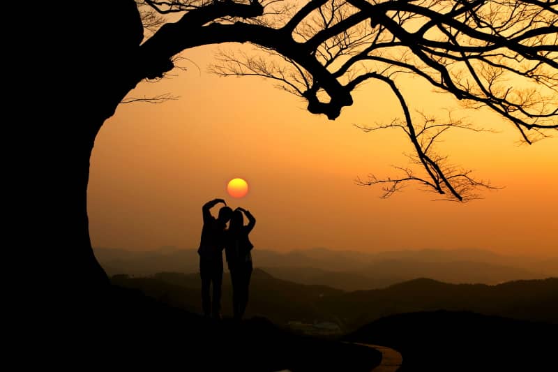 성흥산성-사랑나무