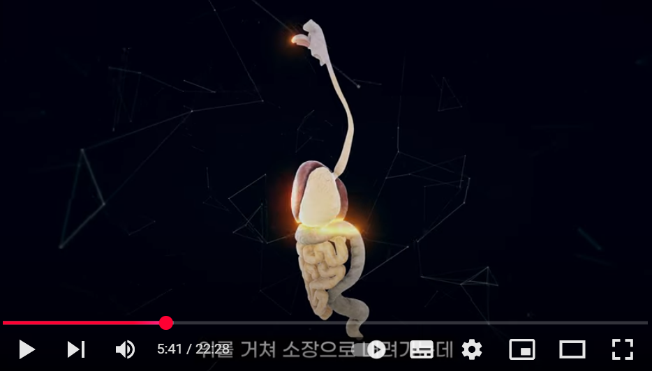 다이어트와 식욕 조절 원리
출처 youtube 홍슐린 Hongsulin