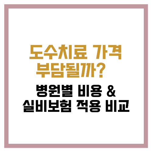 도수치료 가격 부담될까 💰 병원별 비용 & 실비보험 적용 비교