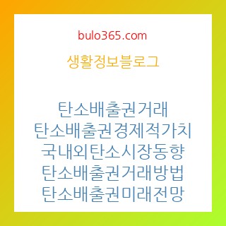 탄소배출권거래,탄소배출권경제적가치,국내외탄소시장동향,탄소배출권거래방법,탄소배출권미래전망