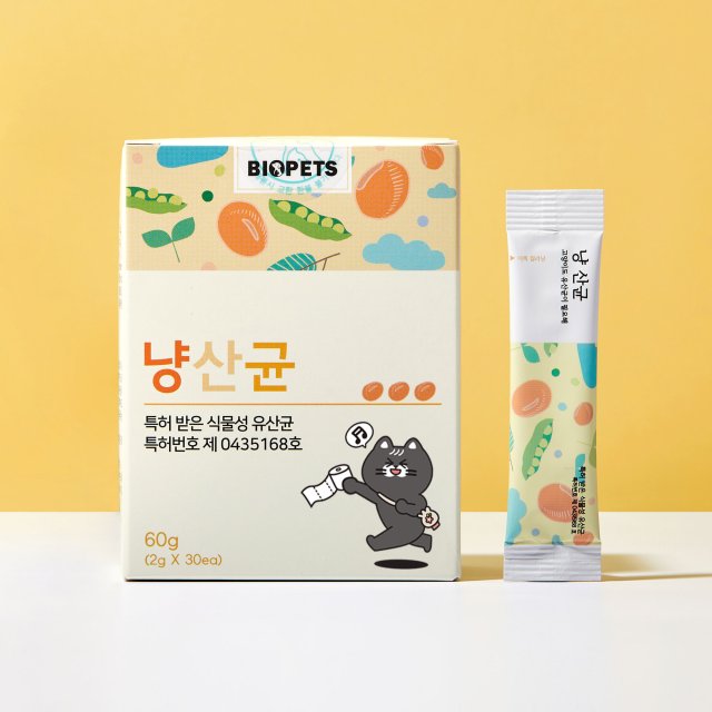 고양이 유산균 추천