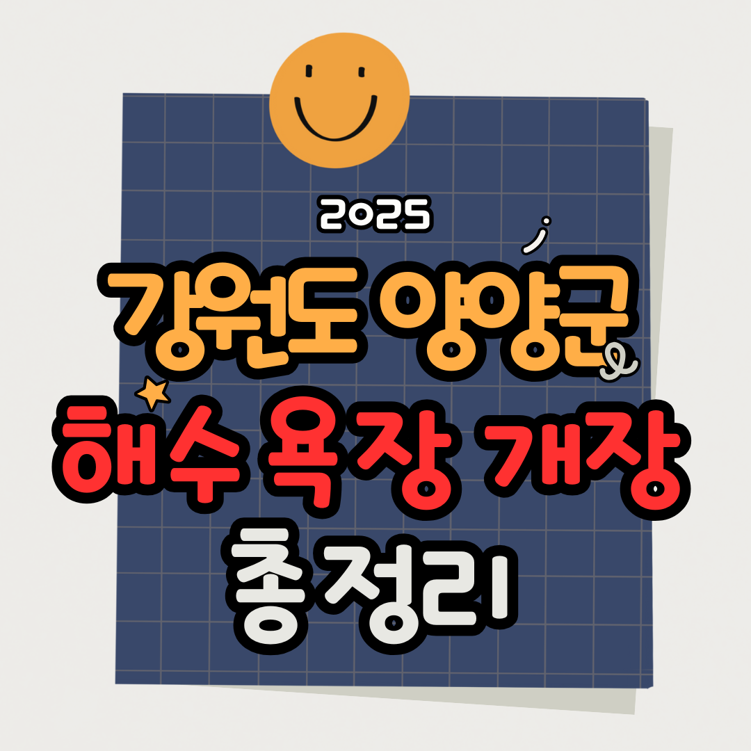 2025 양양 해수욕장 개장 일정 및 서핑 해변 총정리