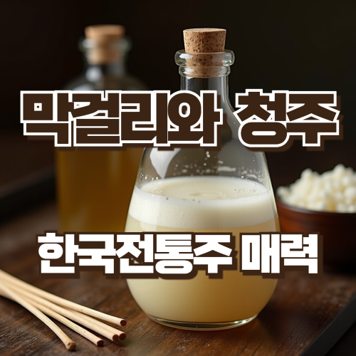 막걸리와 청주 한국 전통주의 매력