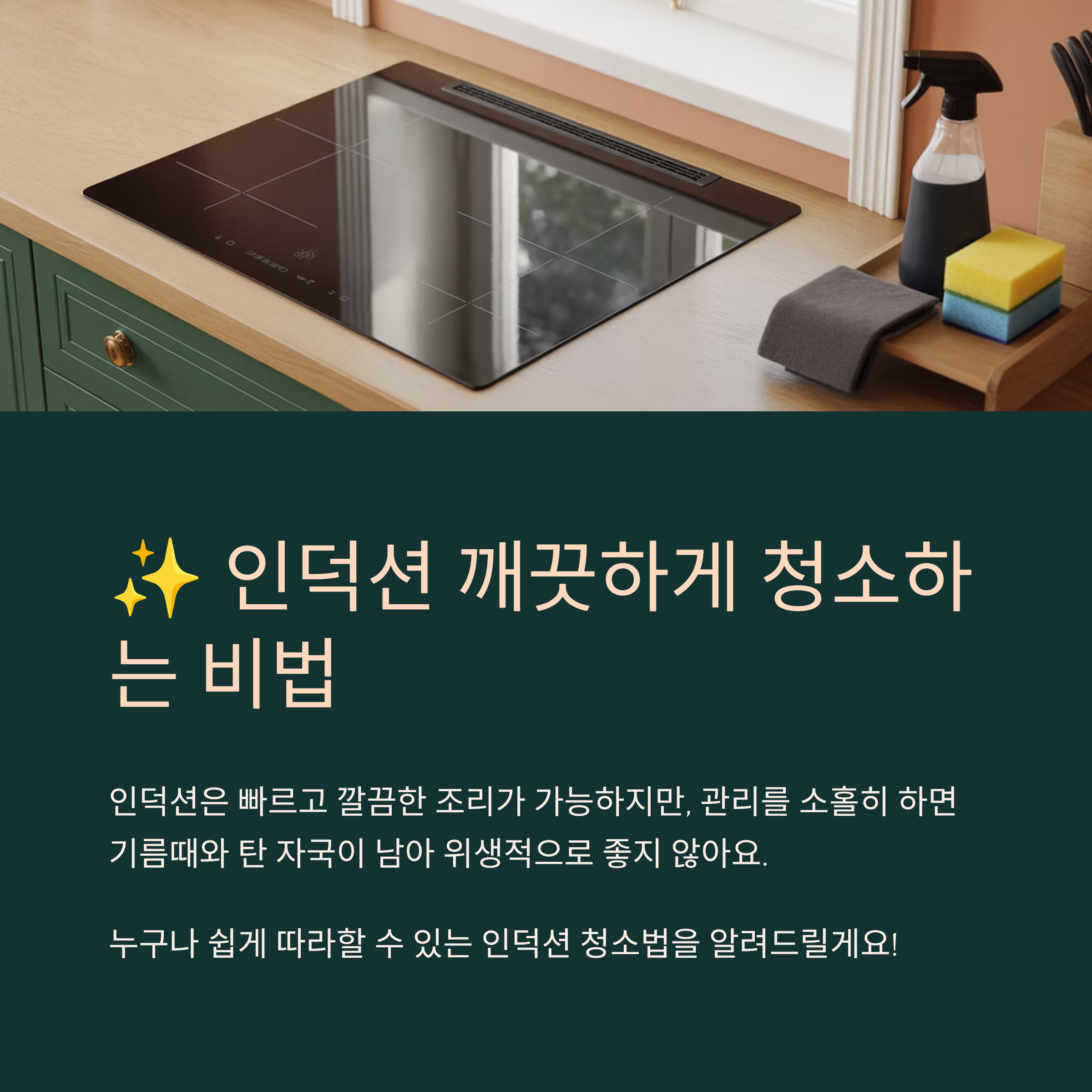 인덕션 깨끗하게 청소하는 비법