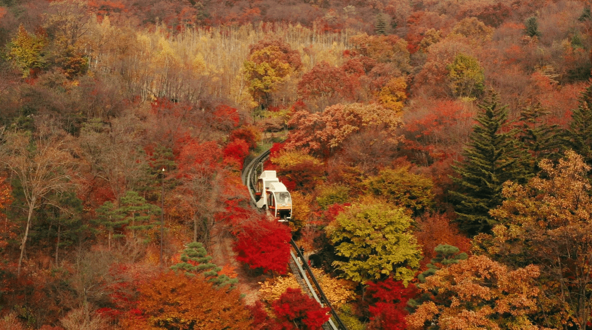 화담숲 예약하기 | 100% 성공하는 팁