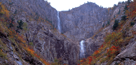 단풍여행 당일 단풍버스여행