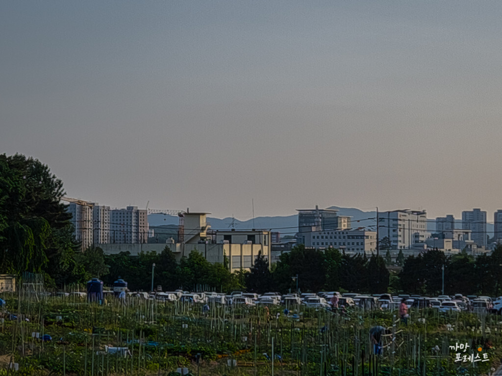 수원 탑동 시민농장 주차장