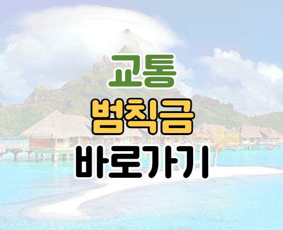 교통범칙금-단속-조회