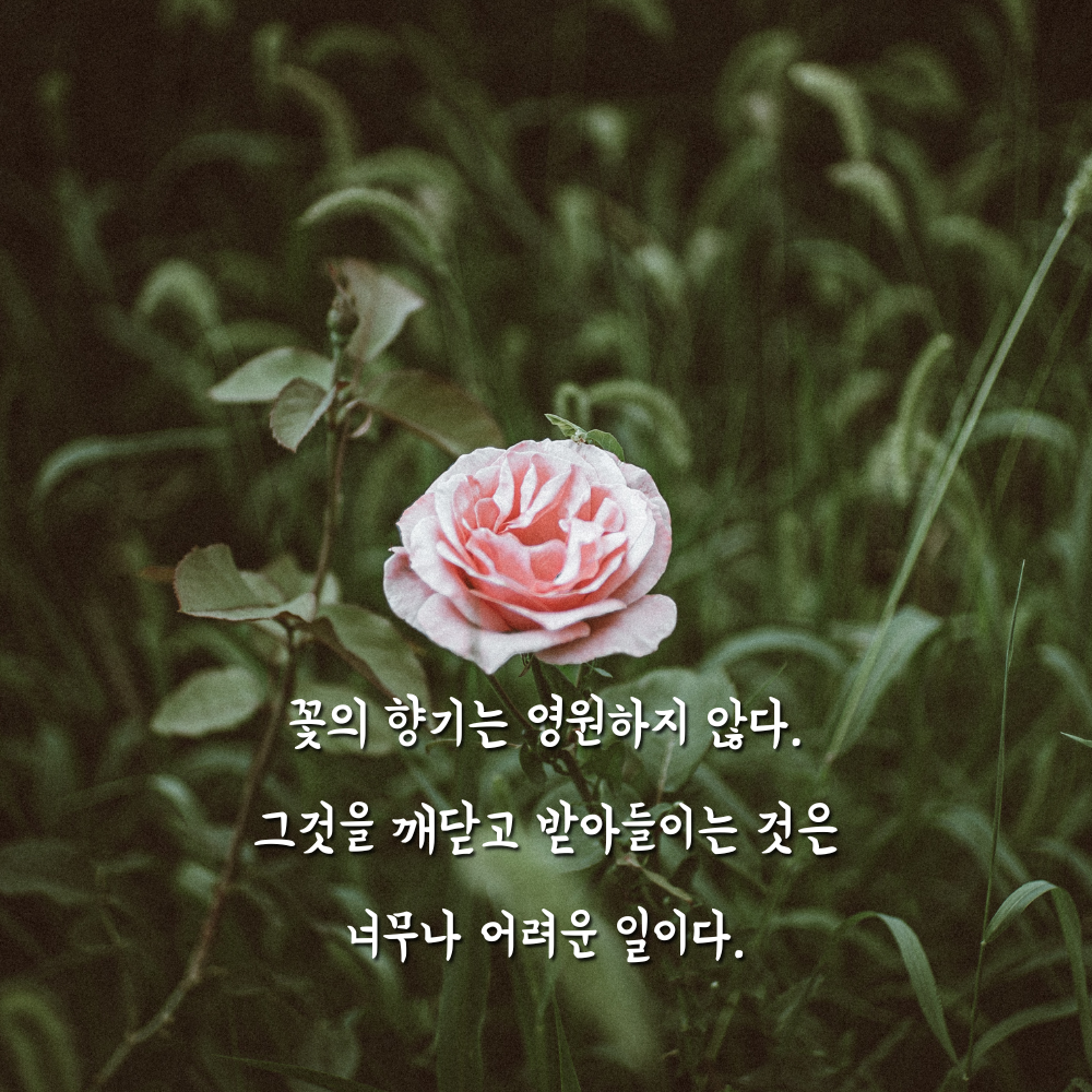 짧고 굵은 한줄 인생 명언 모음 좋은글