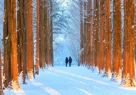 한국 여행 필수 코스: 현지인이 추천하는 놓치면 후회할 명소 완전 정복!