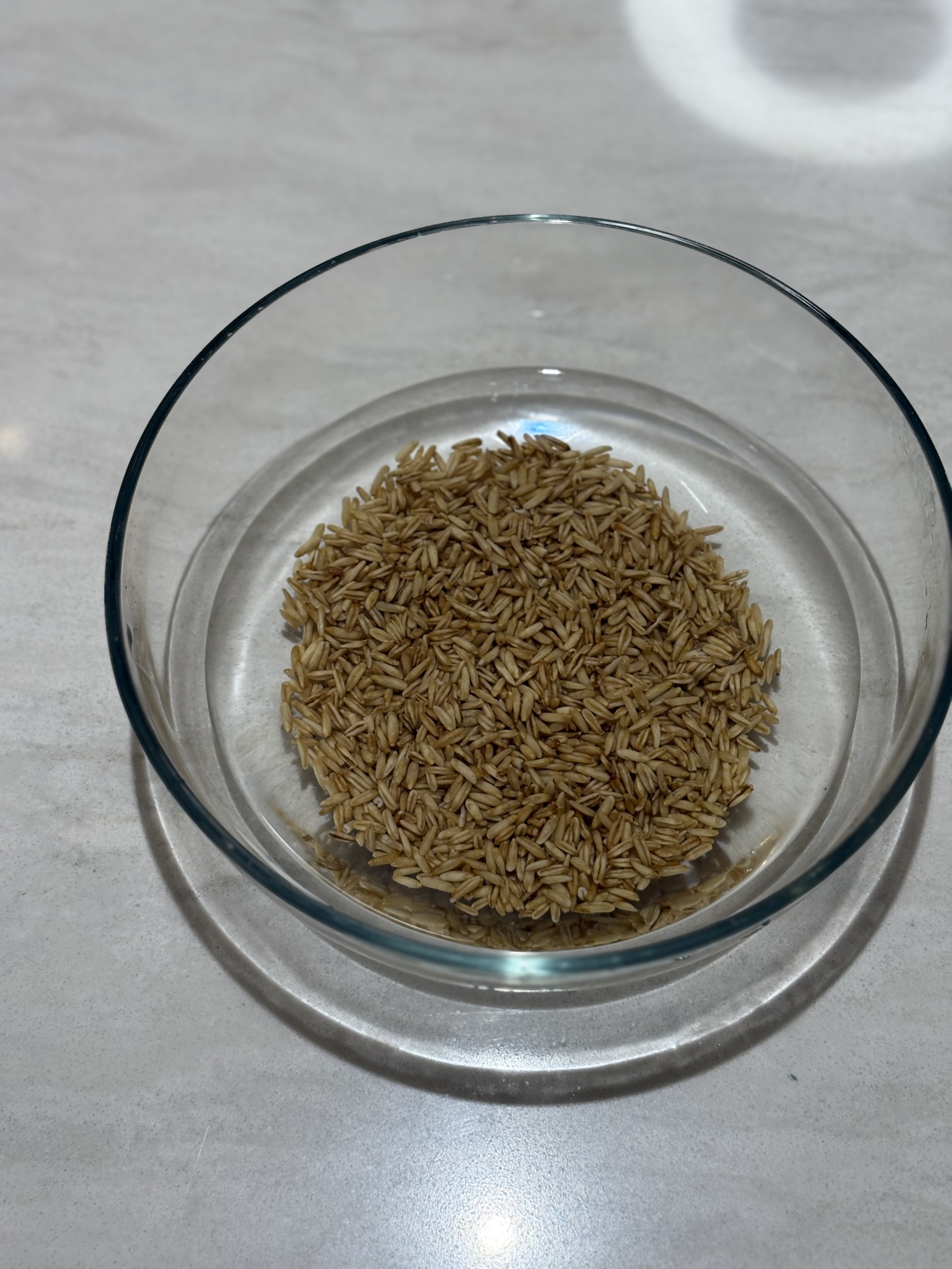 귀리 버섯 샐러드