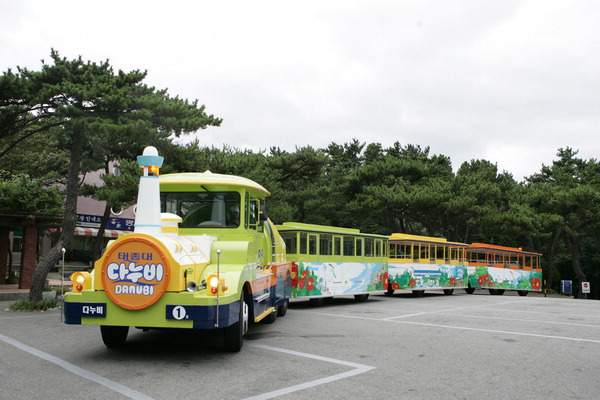 태종대 다누비열차 시간 요금