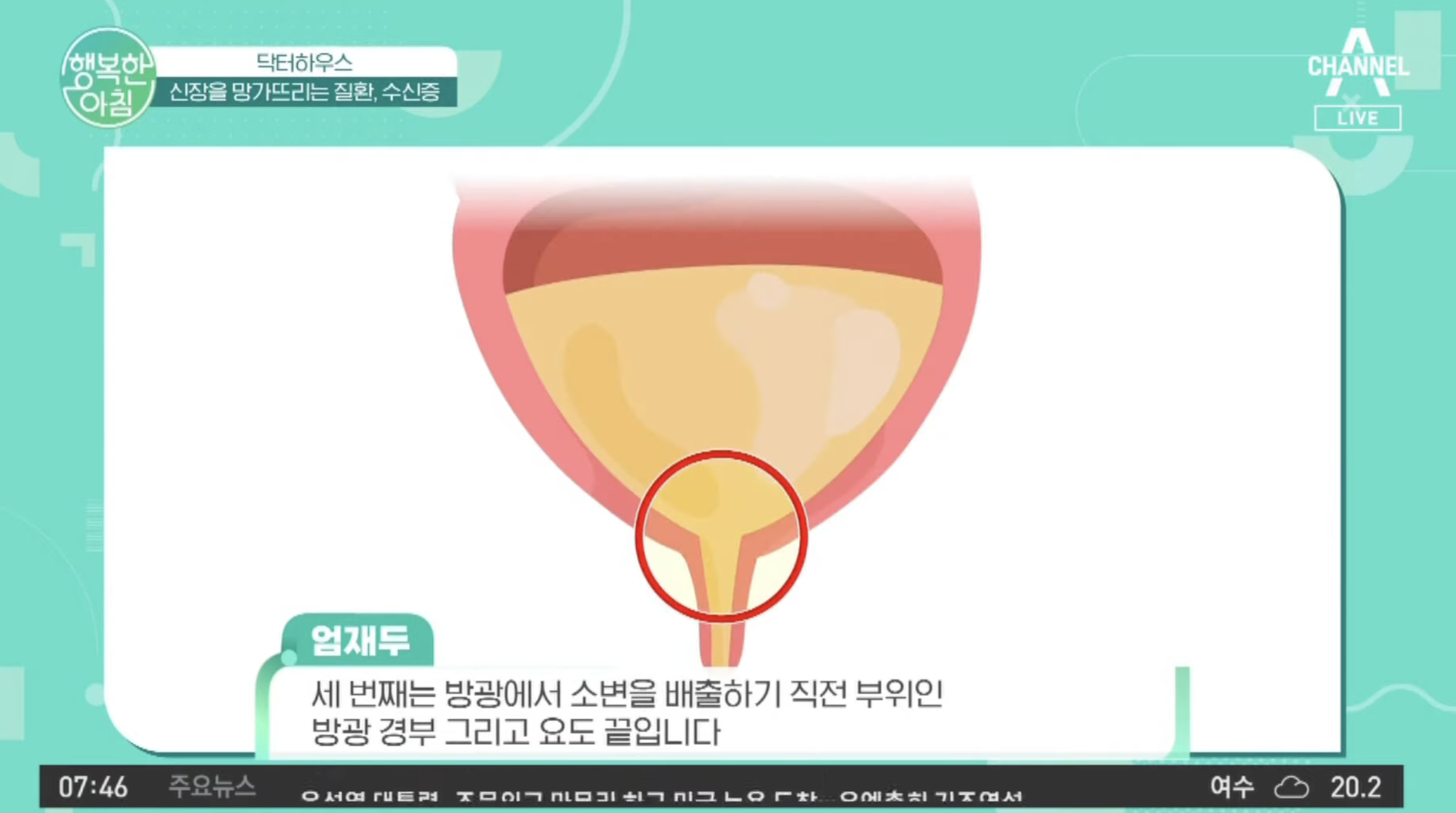 채널 A 행복한 아침