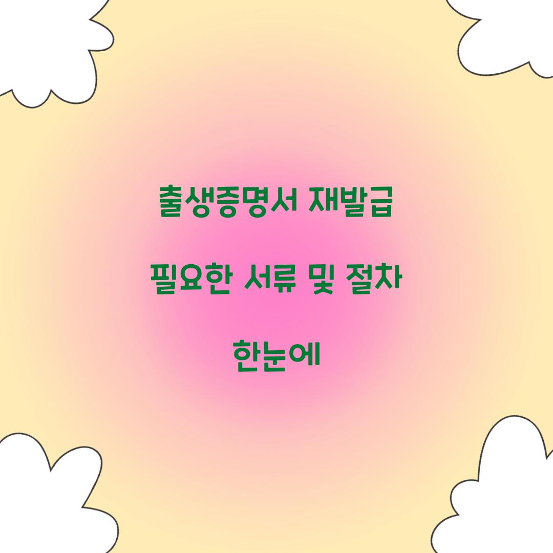 출생증명서 재발급