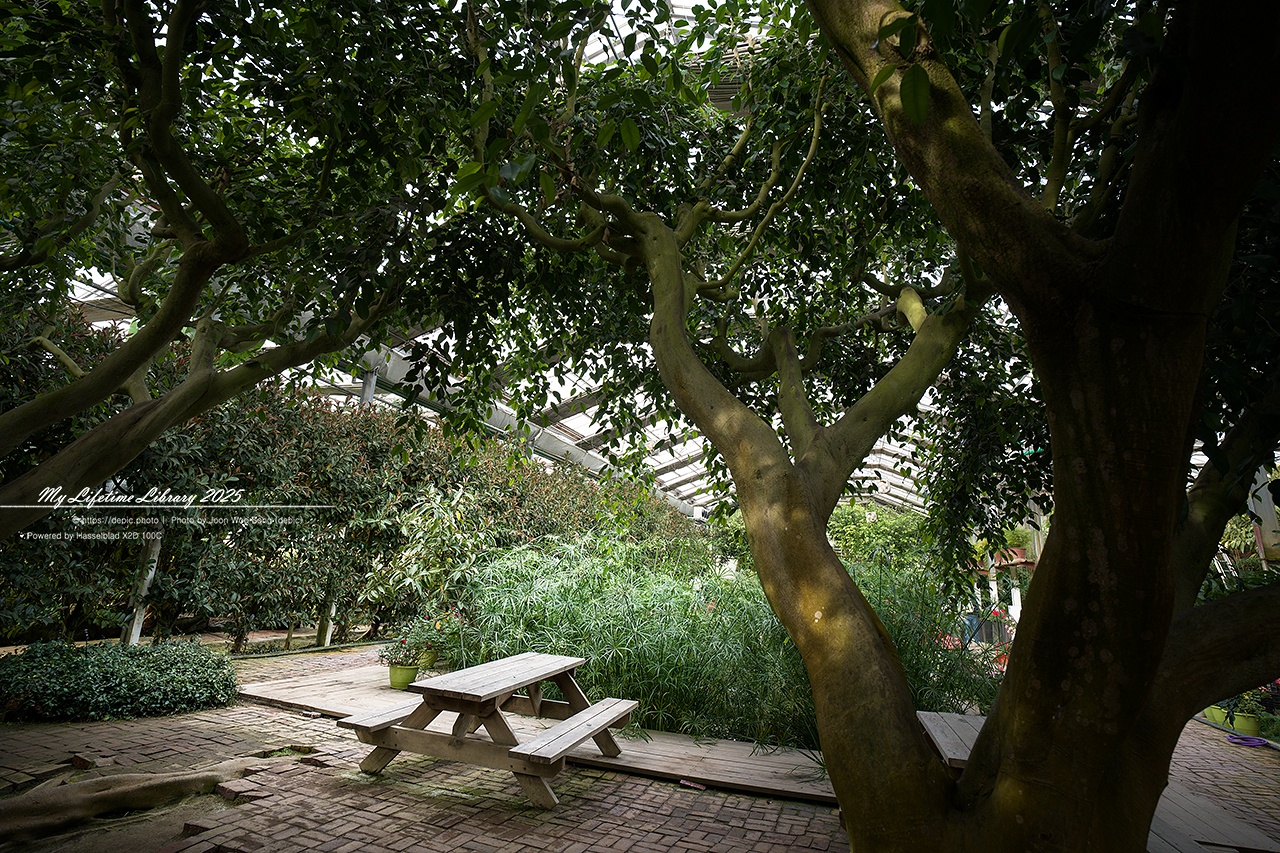 식물원 아산 세계꽃식물원 온실 꽃