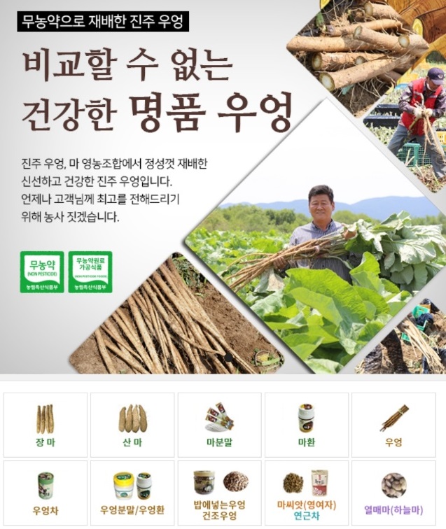 한국기행-진주-마-택배