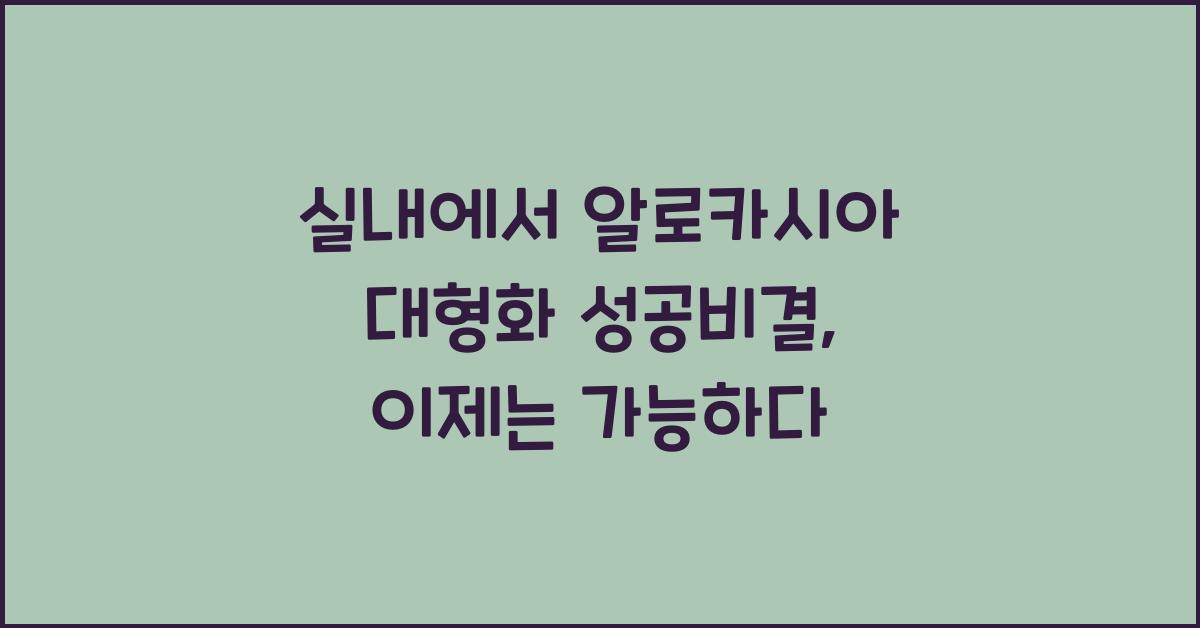 실내에서 알로카시아 대형화 성공비결