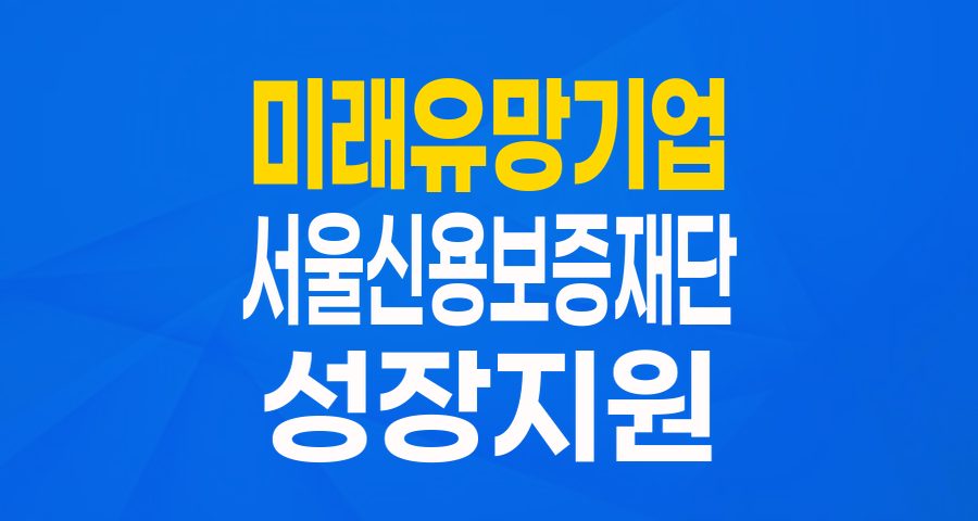 서울시 미래 유망기업을 위한 든든한 날개: 성장지원 보증 완벽 분석!
