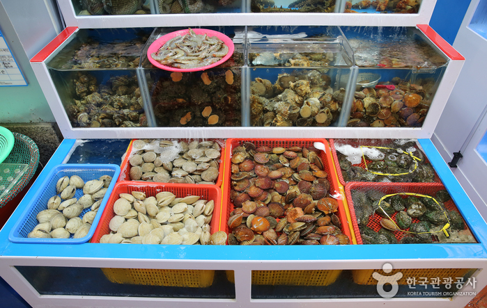 경남 5일장 일정표 경상남도 오일장 장날표 날짜 주소