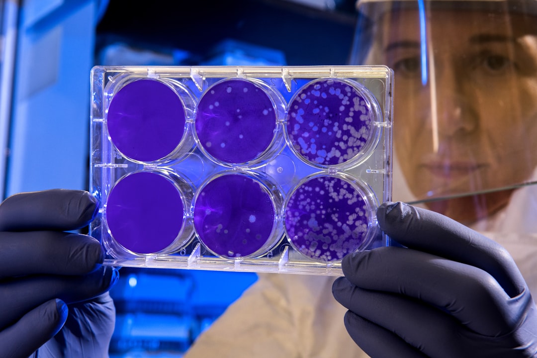 Bacteria
