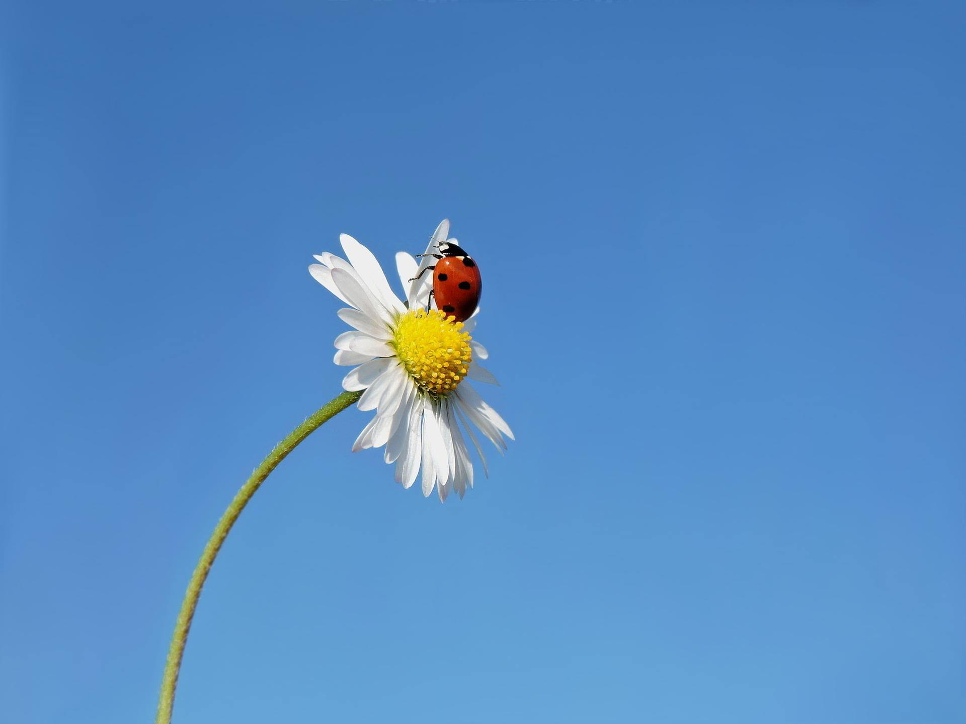 연말정산