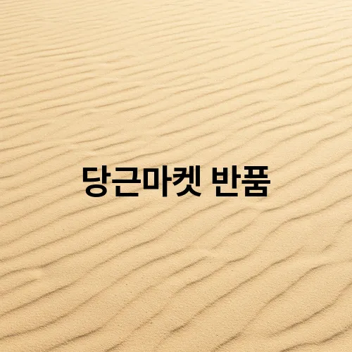 당근마켓 반품