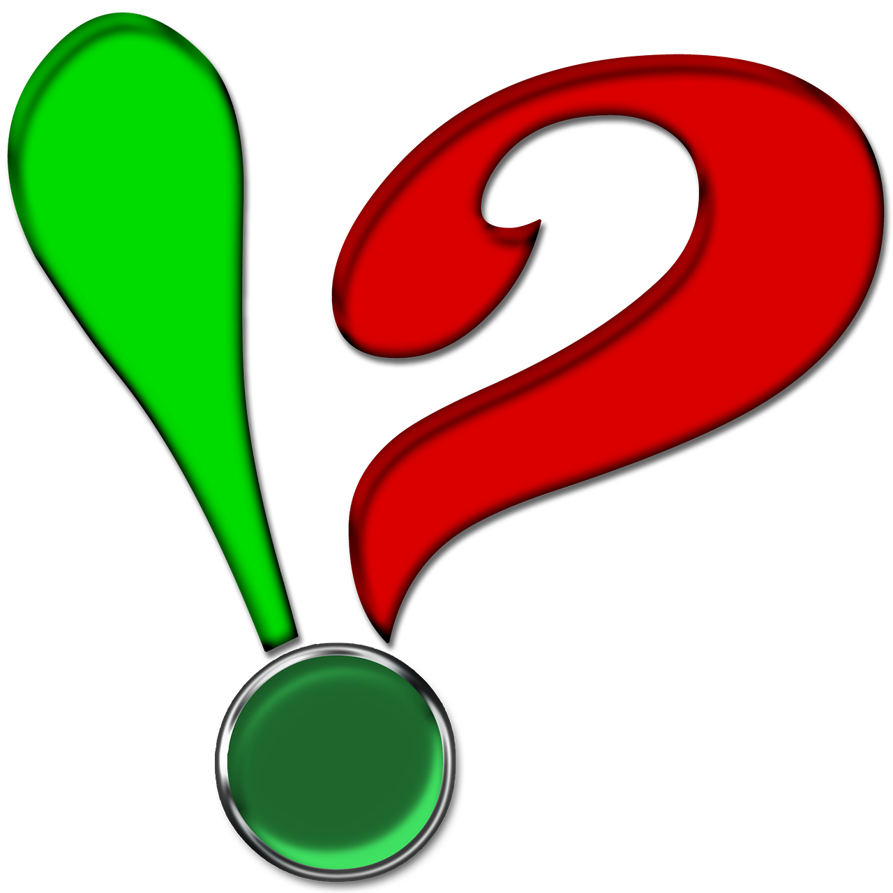 부정·의문 구조의 진화