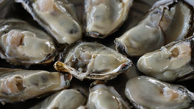 아연이 풍부한 굴: 자연이 선물한 슈퍼푸드