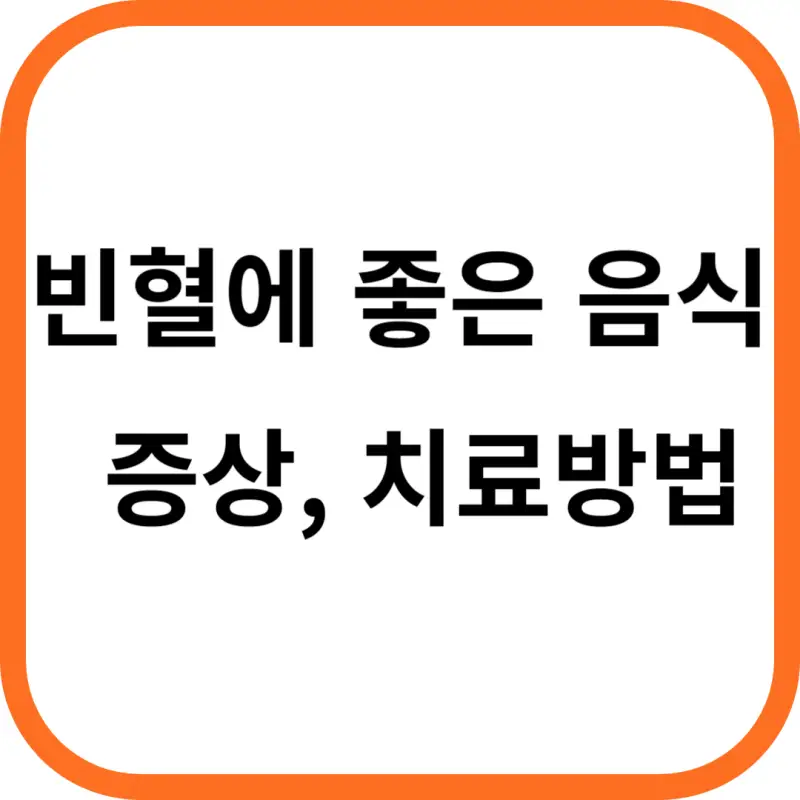 빈혈에 좋은 음식 빈혈 증상, 치료방법