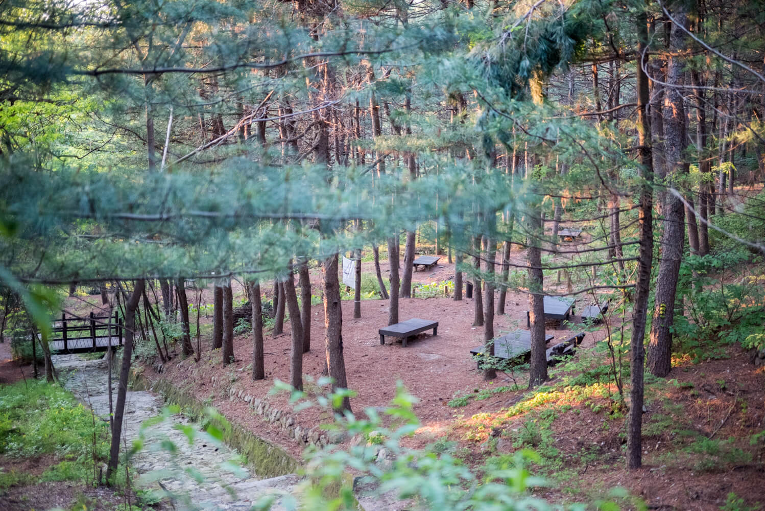백팩 카메라 가방 피지테크 원고 에어