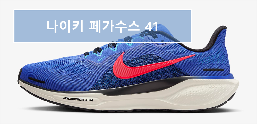 나이키 페가수스 41