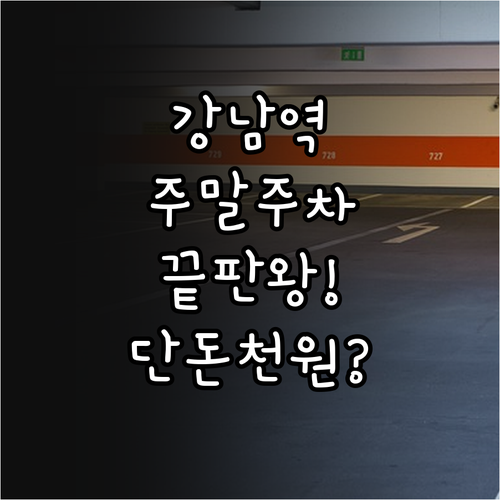 강남역 인근 빌딩 주차장 주말 당일권..
