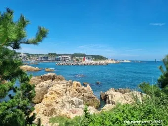 부산 기장 가볼만한곳 베스트 10 최신판 추천합니다_19