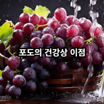 포토의 건강상 이점