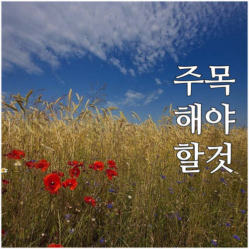 2025 동해시 상하수도 요금 감면 ..