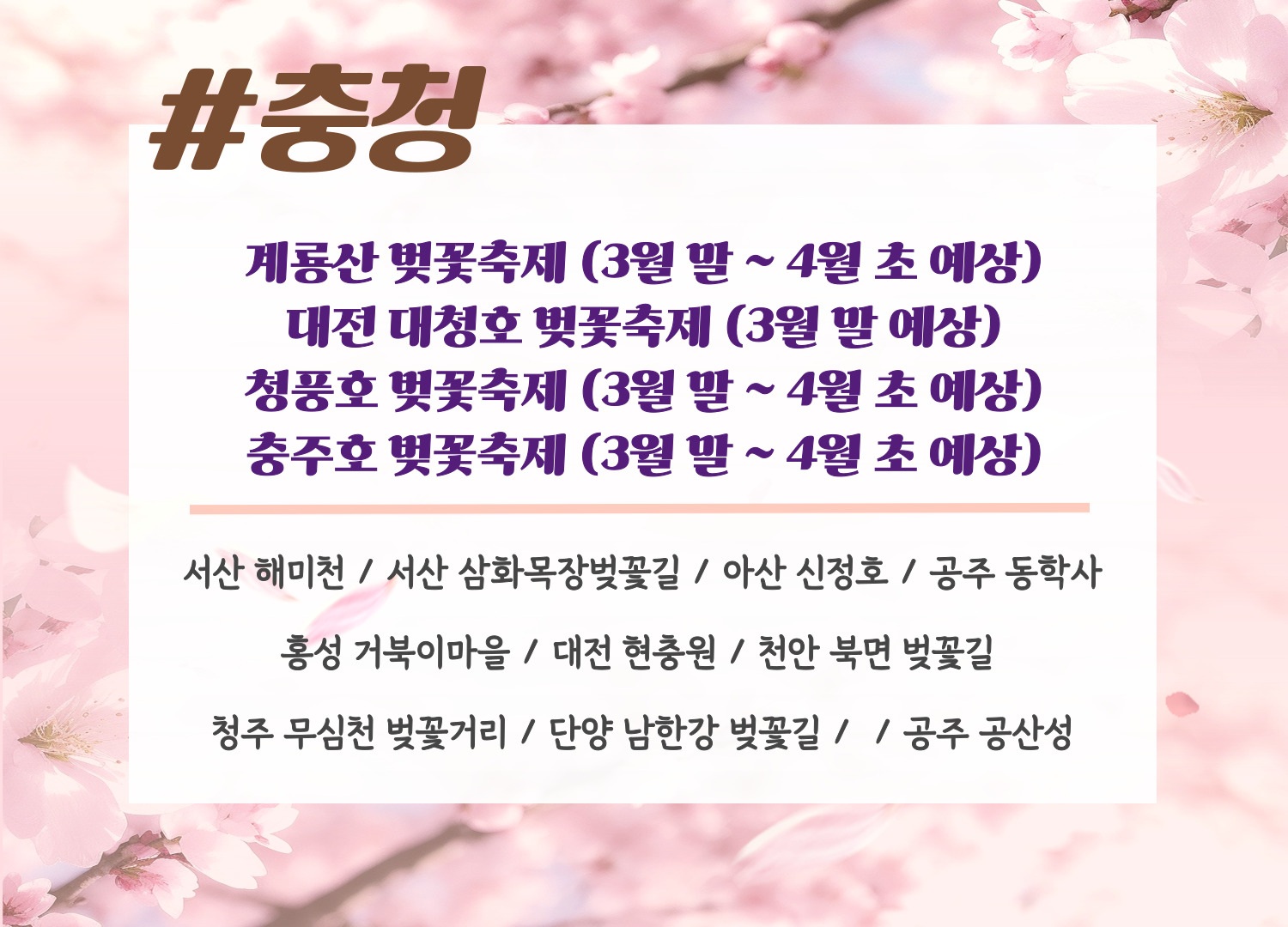 2024년 벚꽃 지역별 개화시기