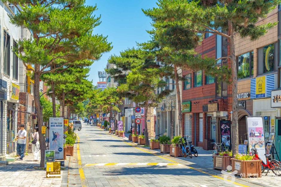 수원 가볼만한곳 베스트10