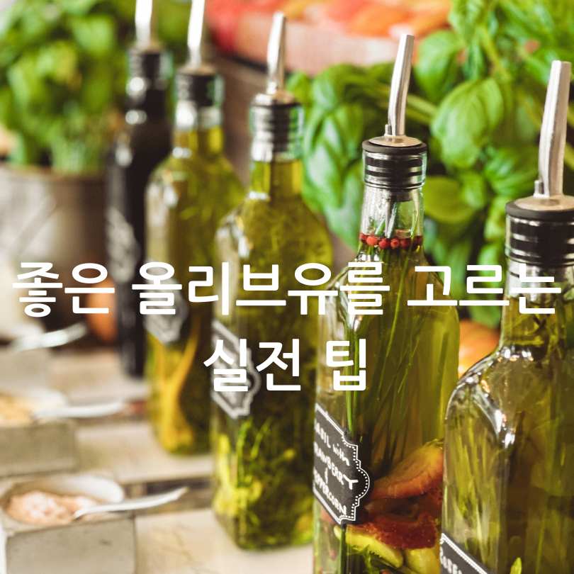 그리스산 코로네이키 올리브유 효능과 선택 팁