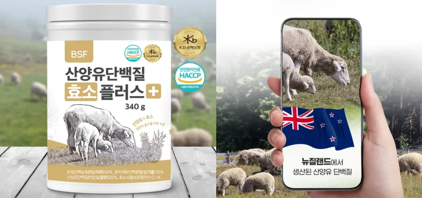 BSF-산양유-단백질